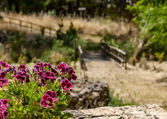 农家乐 版纳塔农家乐