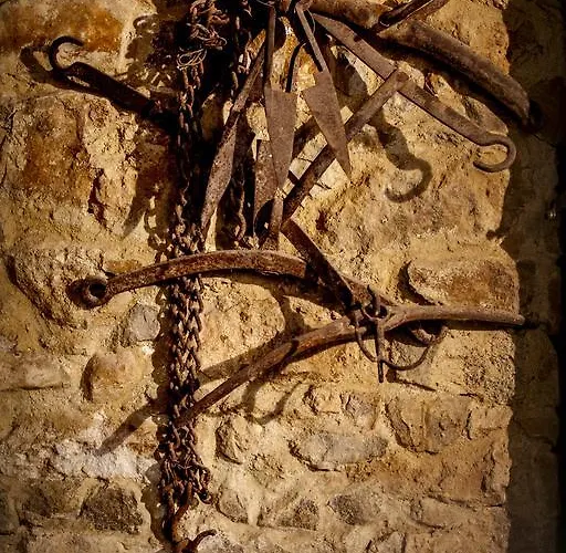 农家乐 版纳塔农家乐