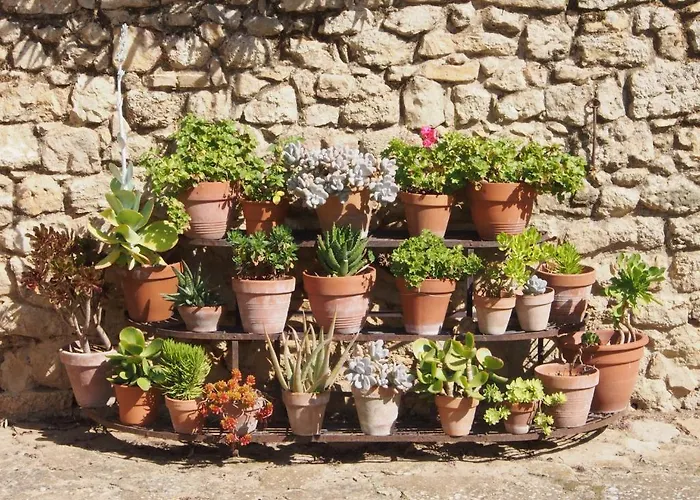 农家乐 版纳塔农家乐 *